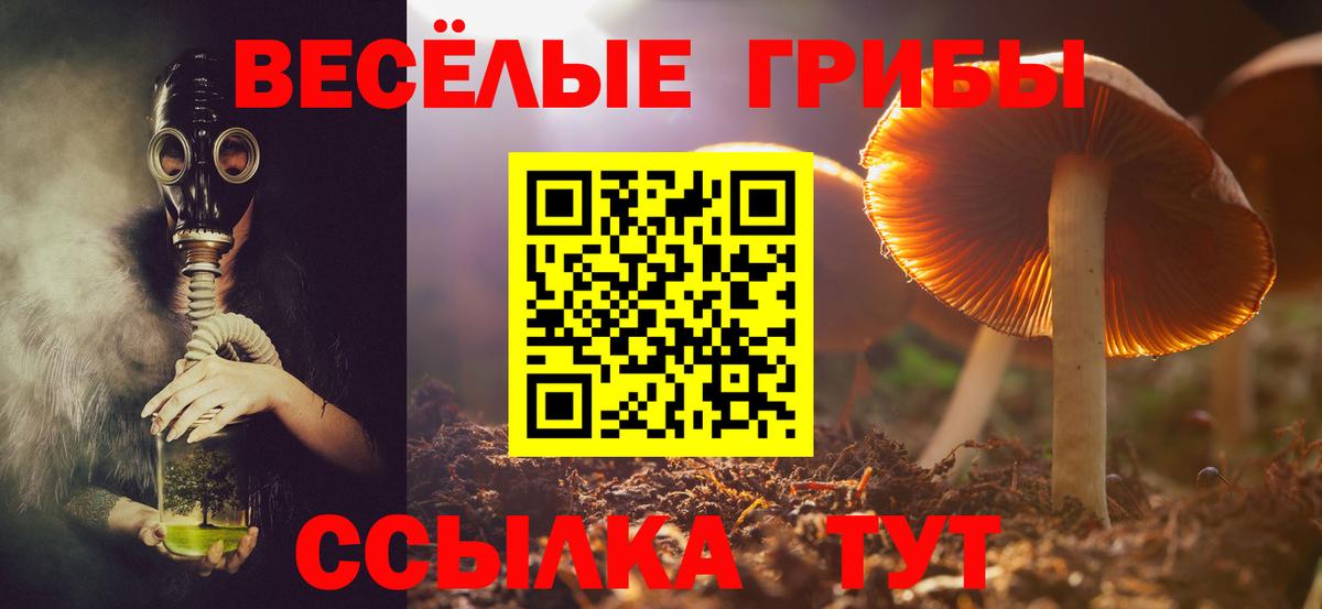 Псилоцибиновые грибы Cubensis Свободный